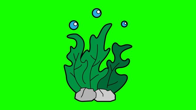 seaweed animation green screen. 2D flat simple motion