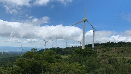 wind turbines in field