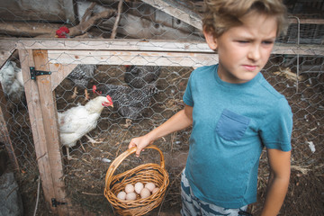 boy holding a basket of eggs outside a chicken coop © Jordan
