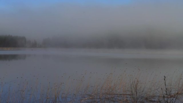 This video is about a msity, foggy morning in Finnish nature, view from the lake to forest. a lot of birds singing 2