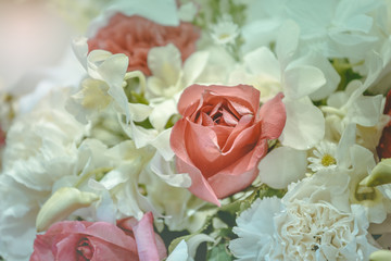 Pink roses background in the wedding.