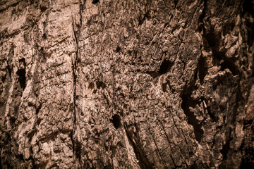 The surface of dry brown wood is decayed and cracks