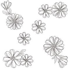 デイジー　線画