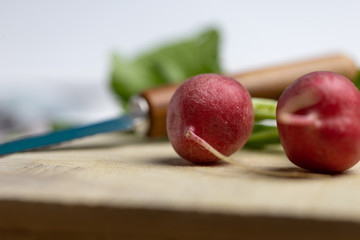 radieschen zum abendbrot