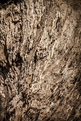 The surface of dry brown wood is decayed and cracks
