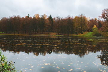 Cloudy autumn landscape with pond in park
