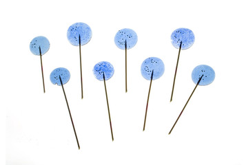 Colourful lollipop isolated on the white background