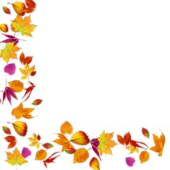 autumn background with leaves