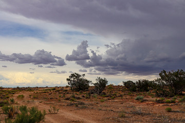 Northern Arizona before a monsoon storm