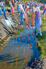 Fototapeta na wymiar 珠洲市 大谷川鯉のぼりフェスティバル