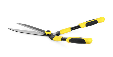 Garden scissors for pruning bushes on a white background