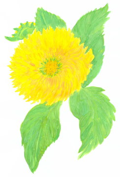 Drawing with watercolors: Big yellow sunflower.
