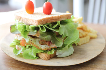 Club sandwich with ham, bacon, tomato,  cheese, eggs and fried on wood background