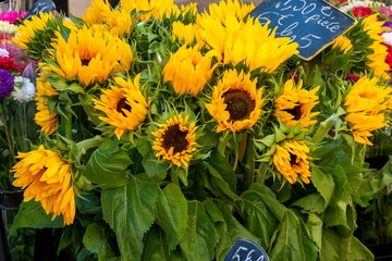 エクサンプロバンス