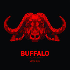 Hipster animal polygonal buffalo face. Triangle animal - 290197058