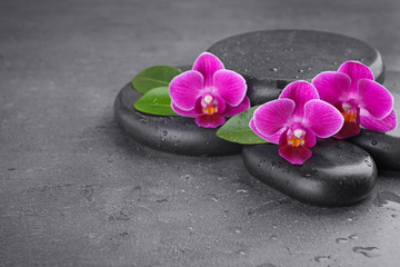 Obraz na płótnie Canvas Wet spa stones and orchid flowers on grey background