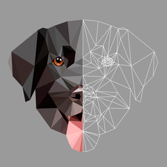 Low poly black labrador dog face on white background, symmetrical vector illustration isolated. Polygonal style trendy modern logo design. Suitable for printing on a t-shirt.