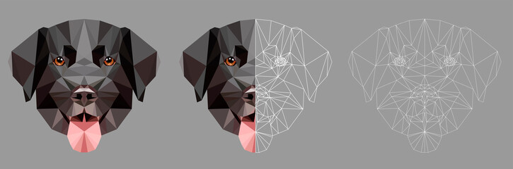 Low poly black labrador dog face on white background, symmetrical vector illustration isolated. Polygonal style trendy modern logo design. Suitable for printing on a t-shirt.