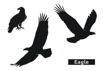 eagle silhouette set. zoo symbol of strength, highness, element of air. eagle symbol of usa. isolated vector images.