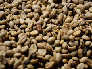 Weasel Coffee (Kopi luwak in indonesia) or civet coffee, is coffee that includes part-digested coffee cherries eaten and defecated by the Asian palm civet.