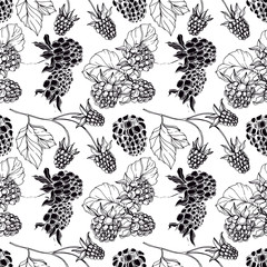 Vector Blackberry healthy food. Black and white engraved ink art. Seamless background pattern.