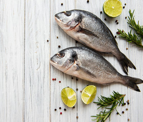 Fresh fish dorado