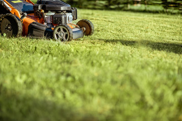 Gasoline lawn mower cutting grass, close-up with copy space. Backyard care concept
