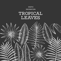 Tropical plants banner design. Hand drawn tropical summer exotic leaves illustration on chalk board. Jungle leaves, palm leaves engraved style. Vintage background design