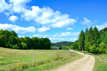 Fototapeta na wymiar Rural country road in a grassy meadow on a blue sky with white clouds background