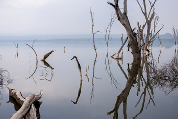 Il lago Barengo in Kenya