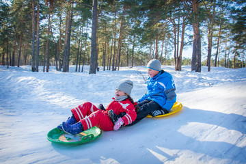 In winter, in the forest on a bright sunny day, brother and sister ride plastic plates from the mountain.