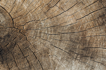 Fototapeta premium Wooden texture background. Brown wood texture, old wood texture for add text or work design for backdrop product. top view