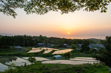 朝日と水田に映り込むオレンジの空