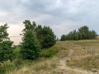 white dune sand, scanty plants, sand textures, beautiful blue skieslandscape with sand dune shore, Curonian Spit, Nida ,Lithuania.  Baltic dunes, UNESCO heritage