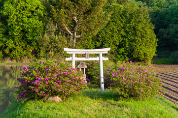 農村部を見守る神聖な場所