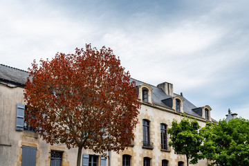 Beautiful red prunus tree in Rochefort-en-Terre, Brittany