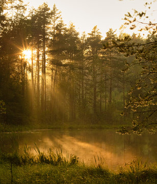 Sun piercing through the trees to illuminate the mist on a forest lake © Remo