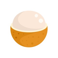 Eco longan icon. Flat illustration of eco longan vector icon for web design