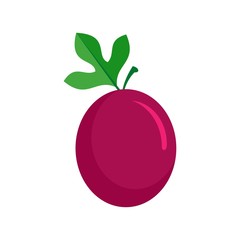 Eco maracuja icon. Flat illustration of eco maracuja vector icon for web design