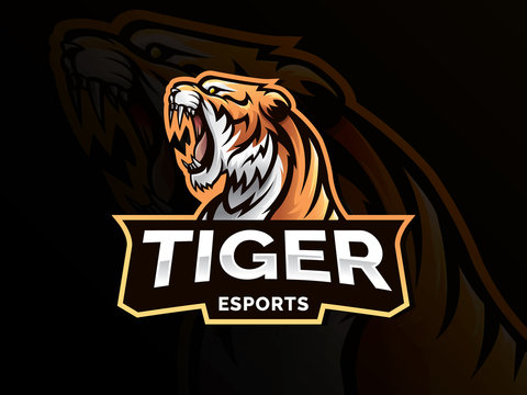 Tiger mascot sport logo design. Tiger animal mascot head vector illustration logo. Wild cat head mascot, Tiger head emblem design for eSports team. Vector illustration