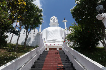 The Bahirawakanda White Buddha Statue is located alongside the Sri Maha Bodhi Temple which is on the top of the Bahirawa Kanda hill.Bahirawakanda is a village in the centre of the Kandy, Sri Lanka