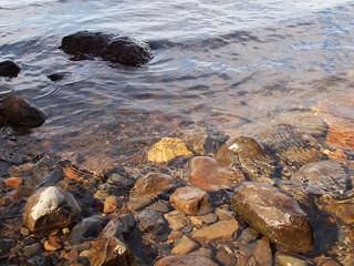 Nature on the lake. Summer sunny day