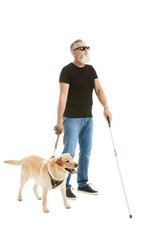 Blind mature man with guide dog on white background