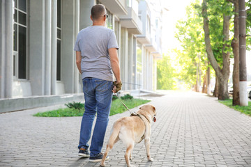 Blind mature man with guide dog outdoors