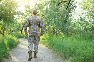 Going male soldier in forest, back view