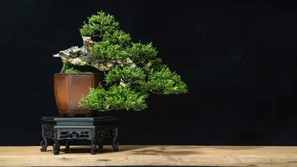 Zelfklevend Fotobehang Japanese bonsai tree has a beautiful green color placed on a white wooden table. Waiting to send to customers as a gift in the festival to decorate the restaurant © katobonsai