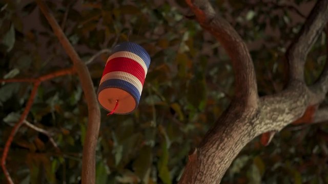 Traditional Costa Rican Lantern with Flag Pattern Hanging From Tree