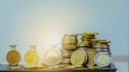 Growth money of profitability of professional investment planning, Business and finance concept.