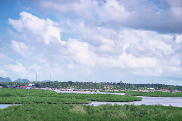 Beautiful landscape with green mangroves sea lagoon, National Park, Siargao Island, Philippines.