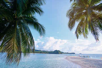Vacation in paradise. Beautiful landscape with white sand tropical beach and green palm trees.